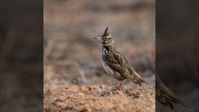 Это интересно-39