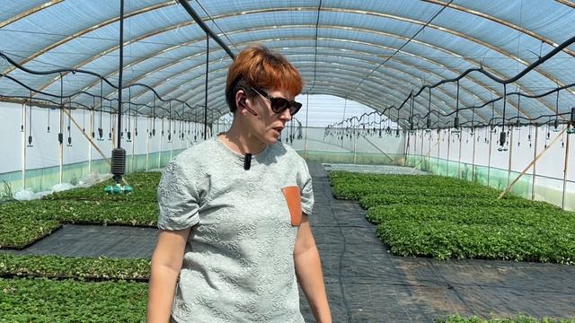 24-07-2025 г. Ягодное хозяйство семьи Жердевых из с.Натырбово смотреть онлайн