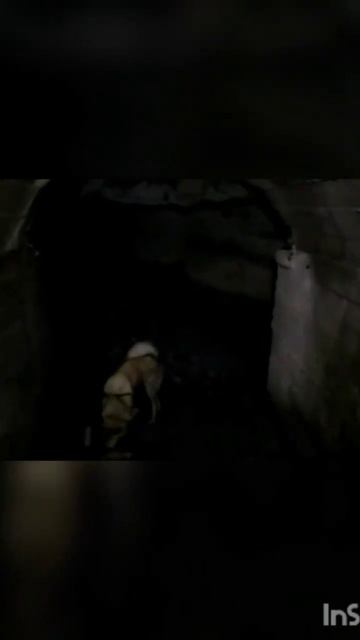 ртутные штольни п. Новый