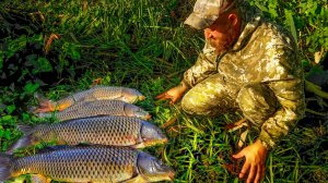 ШОК! Такого  ЖОРА САЗАНА Я НЕ ОЖИДАЛ! ДИКИЕ ОСТРОВА ОТКРЫЛИ ТАЙНИК!  РЫБАЛКА В АСТРАХАНИ 2025!