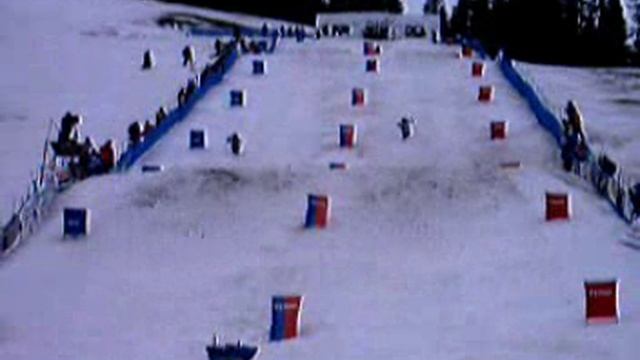 Долгодворов Д. vs  Кабрал Т. (США)
7 место КМ
г. Ферни (Канада)