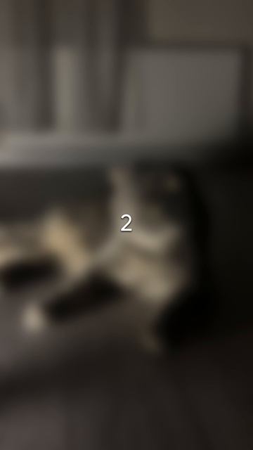 Ссылка на каталог в описании видео👇 А промокод STEPIKRUTUBE25 дает скидку 15% на любой курс Stepik смотреть онлайн