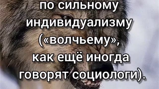 Человек - волк.mp4