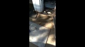 Газель. Замена подножки.