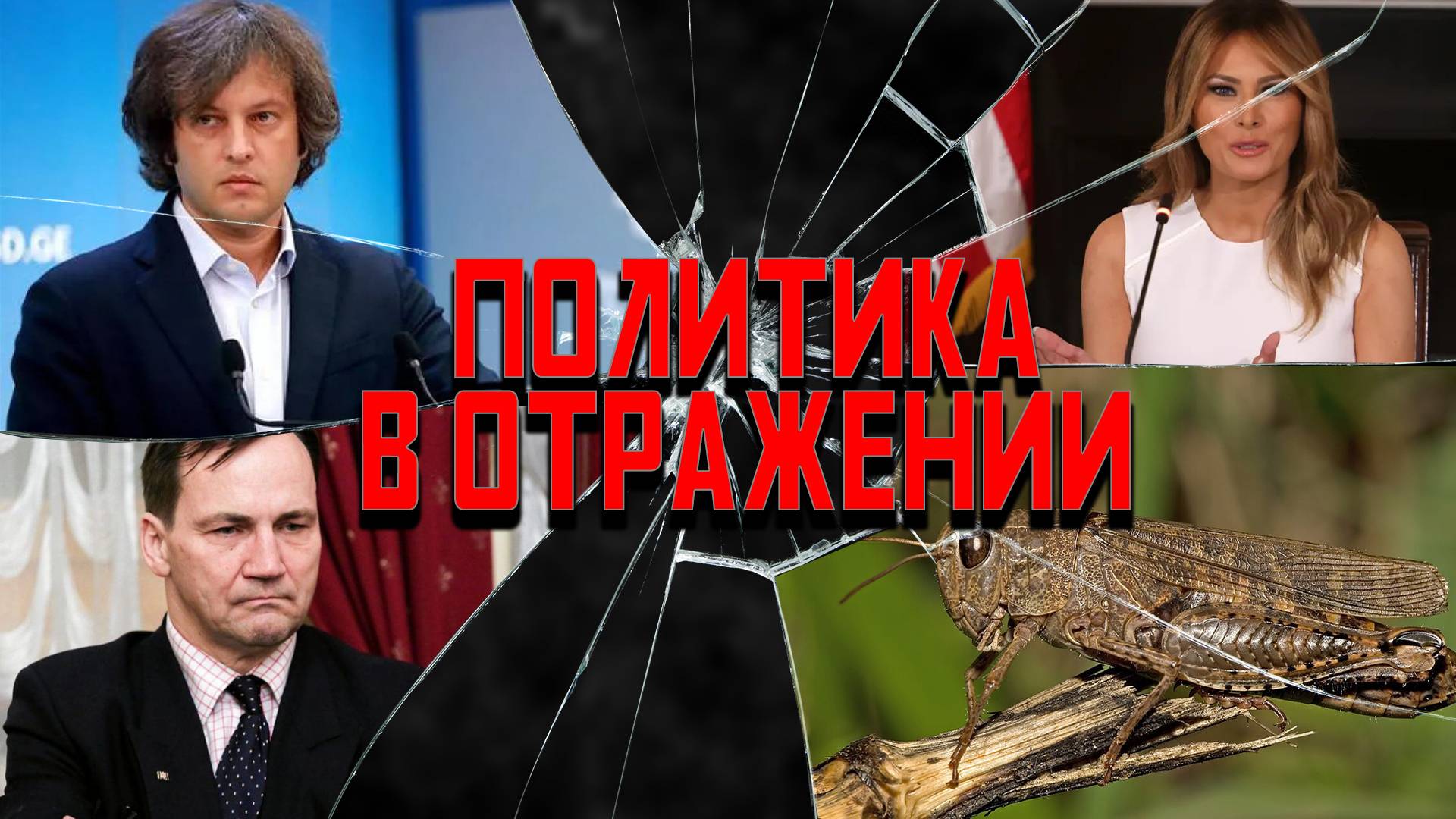 Политика в отражении: Запорожье отойдет саранче, дикпик солидарности, немцы слили Туска смотреть онлайн