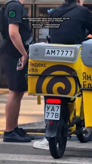 ВЫПАЛИ БЛАТНЫЕ НОМЕРА - НО ЕСТЬ НЮАНС #автоподбор #автоприколы #автоюмор #автомобили #мемы смотреть онлайн