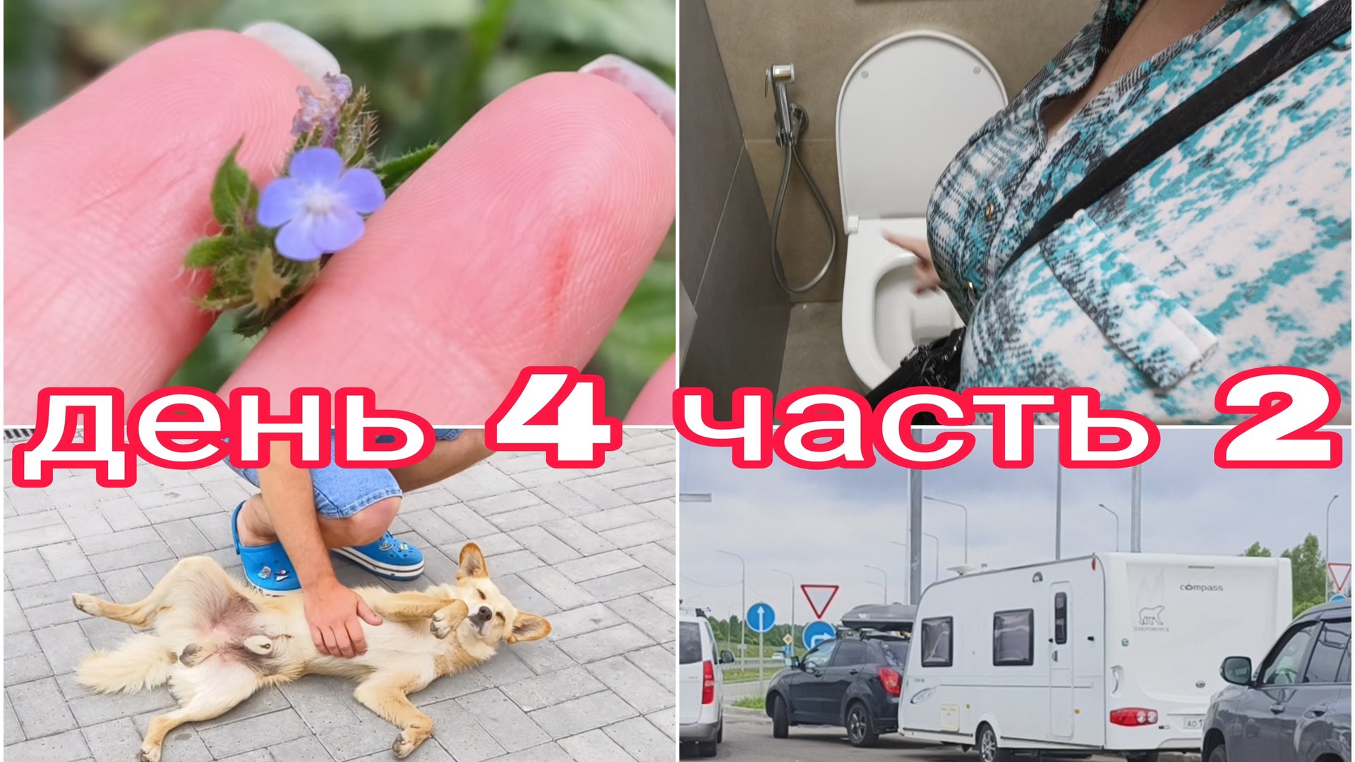 24-07-2025 У НАС ТАКОГО ЕЩЕ НЕ БЫЛО * ДЕНЬ 4 ЧАСТЬ 2 смотреть онлайн