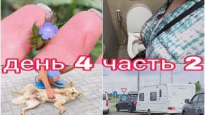 24-07-2025 У НАС ТАКОГО ЕЩЕ НЕ БЫЛО * ДЕНЬ 4 ЧАСТЬ 2