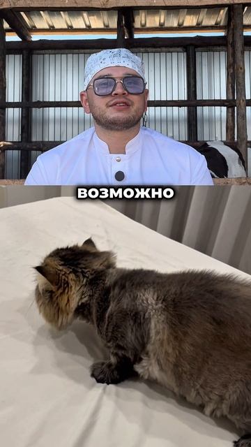 Урок доступен по ссылке в описании