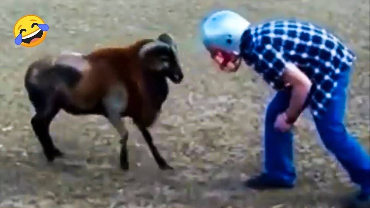 Лучшие смешные видео 2025 года 😂 Попробуй не засмеяться. Смешные видео №2 😂 смотреть онлайн