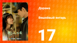 Вишнёвый янтарь 1 сезон 17 серия