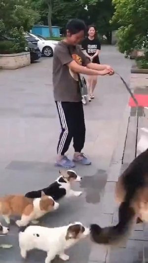 Большие и маленькие