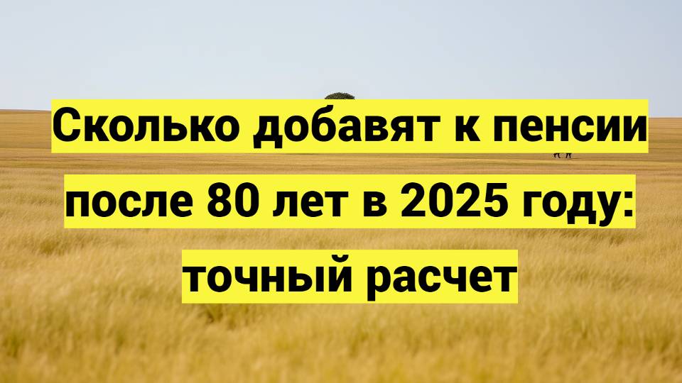 Сколько добавят к пенсии после 80 лет в 2025 году: точный расчет смотреть онлайн