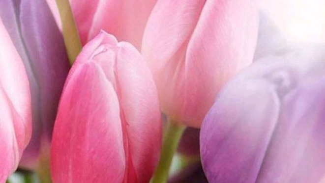 СП"Наши вязальные мечты".Отчëт 3 смотреть онлайн