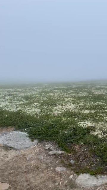 чистилище 2