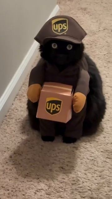 Доставка смотреть онлайн