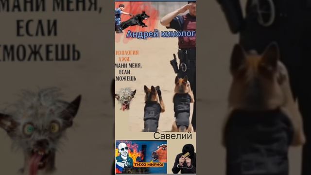 Разнос от Савелия смотреть онлайн