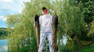 Снасти в хлам от этих сомов! Трофейная рыбалка на сома!