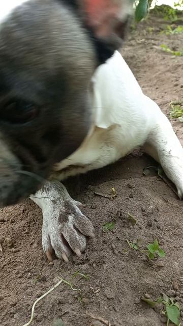 #барилетосолцелюбимка#