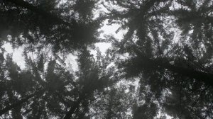 "Судьба" - про это люди говорят 🥰💖