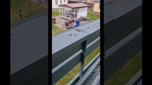Накладки на перила, что выбрать? Дерево или полимер?