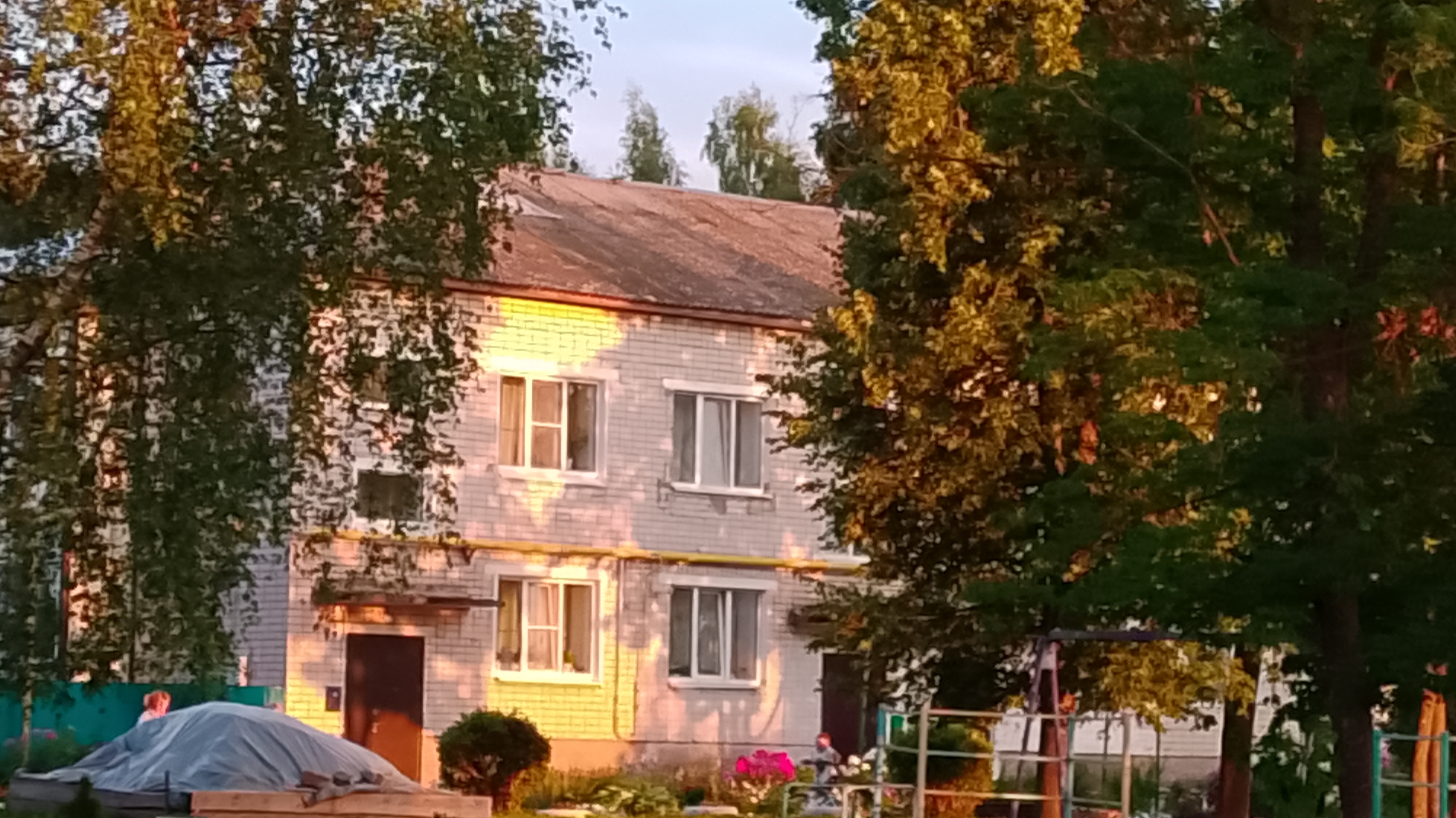 хорошо погуляли (скоро выложу как гуляем с рисой)