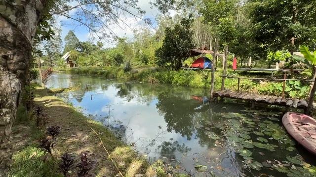 Что скрывает новый дом в тропиках? 🌴 Невероятные условия! смотреть онлайн