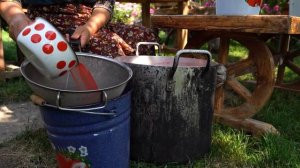 Kənd Həyatı. Домашний арбузный дошаб — сладкий эликсир лета