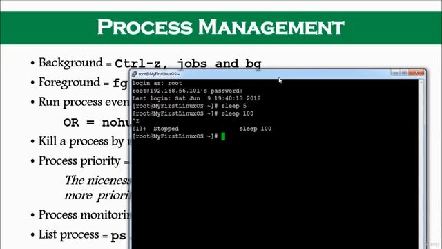 106 - Process Management bg fg nice смотреть онлайн