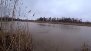 Рыбалка на маховую удочку с поплавком