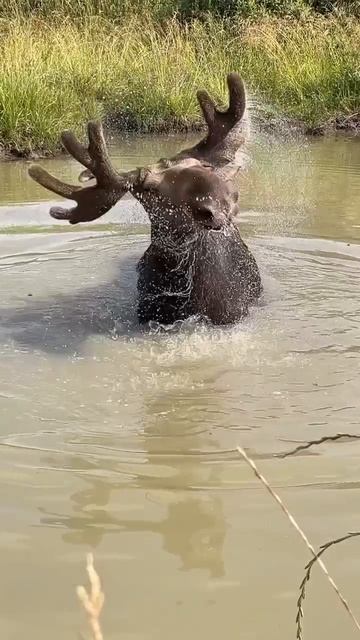 Красавец смотреть онлайн