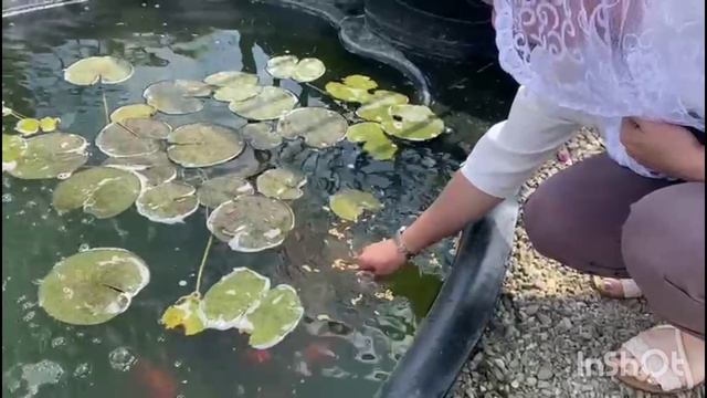 Момент из моих каникул 2025