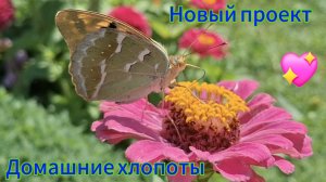 Переезд из Сибири на юг. Наслаждаемся южной жизнью 💖