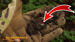 Здесь я нашел КУЧУ МОНЕТ! Что будет, если приехать снова? 😳 КЛАДОМАНИЯ