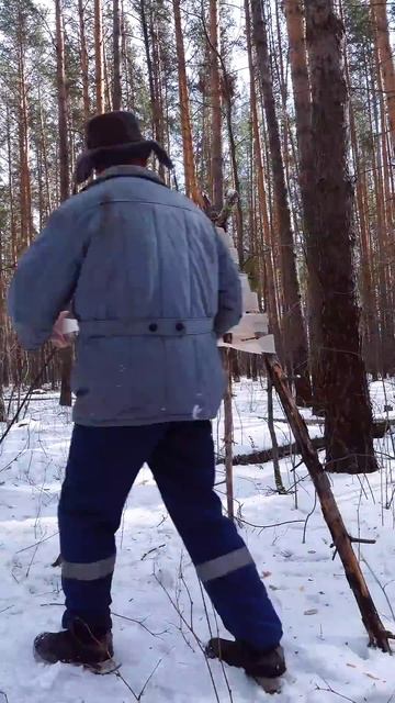 Дед в разводе #shorts #юмор #comedy смотреть онлайн