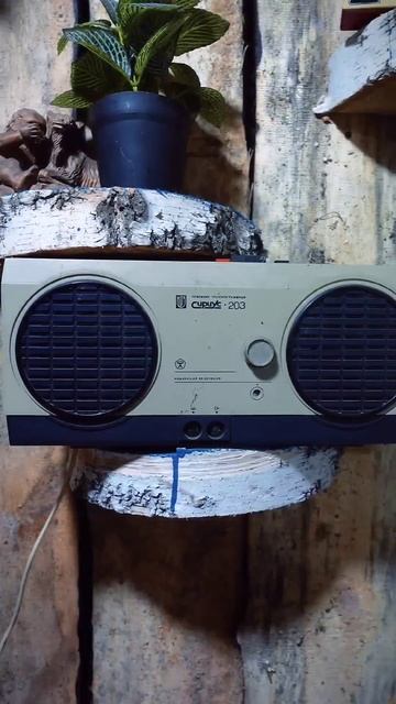 Машина времени #shorts смотреть онлайн