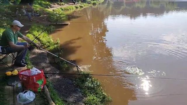 Снова Карп смотреть онлайн