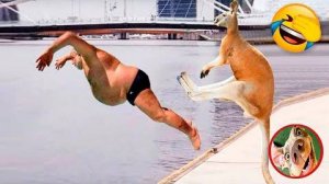 Приколы с Животными🔥😂Приколы 2023|Смешное Видео|Смешные животные