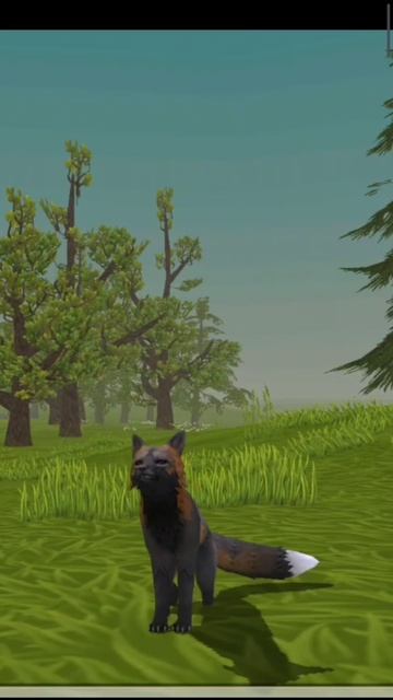 Лисичка WildCraft. 🦊🖤🖤🖤