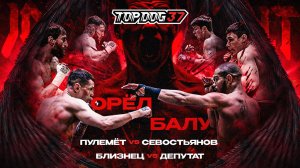 Орёл VS Балу, Пулемёт VS Севостьянов, Близнец VS Депутат | TOP DOG 37, Москва