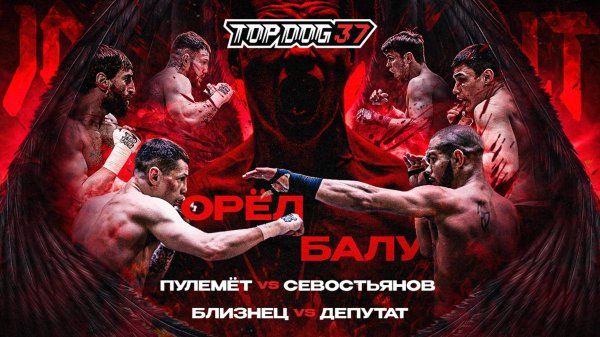 Орёл VS Балу, Пулемёт VS Севостьянов, Близнец VS Депутат | TOP DOG 37, Москва