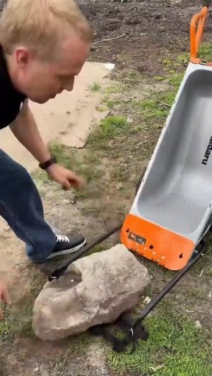 Универсальная тачка от компании Worx😉👌