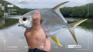 Рыбалка в Китае. Спиннинг на острове Хайнань