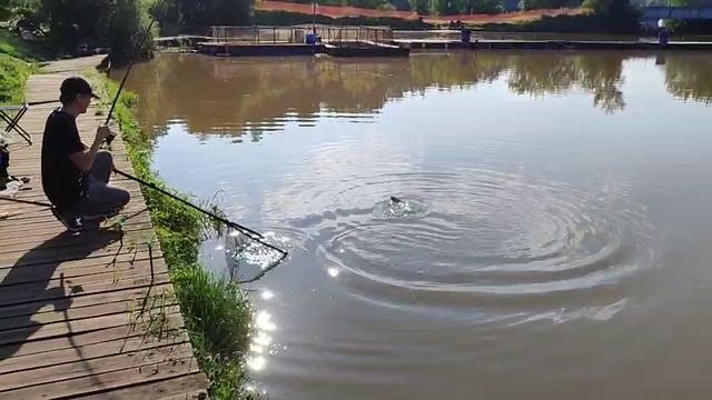 Карпевич смотреть онлайн