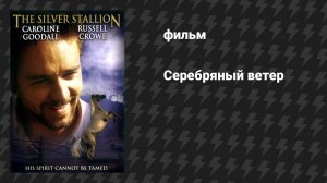 Серебряный ветер (фильм, 1993)