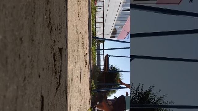 катаемся на качелях смотреть онлайн