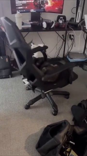 Я покажу тебе весь мир, детка смотреть онлайн