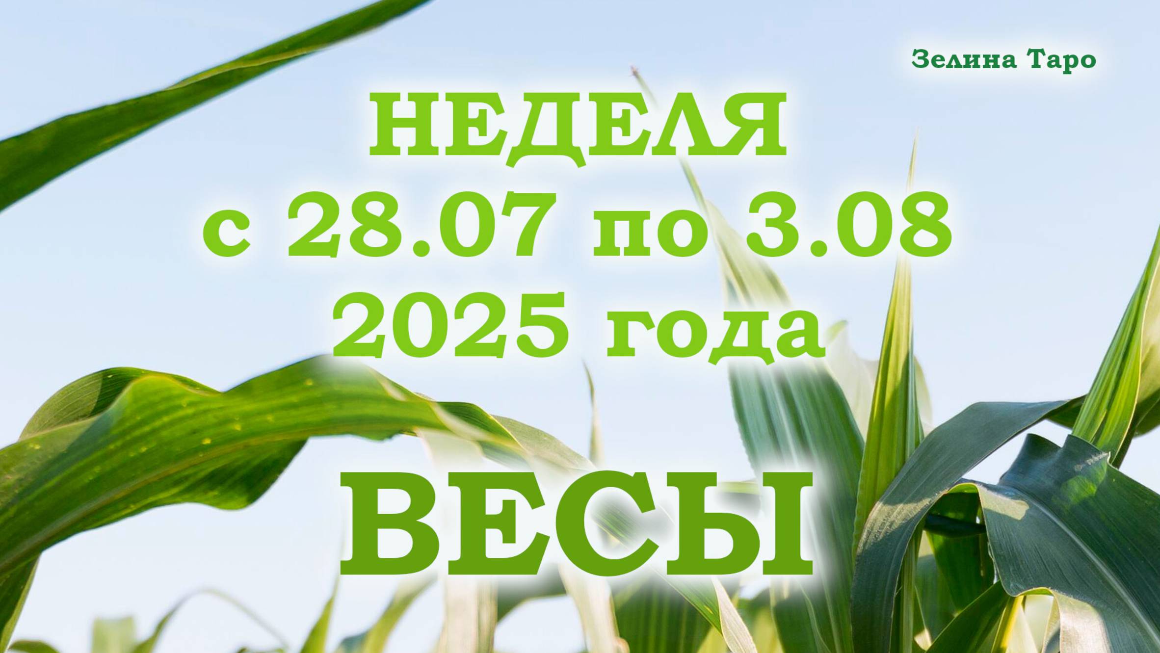 ВЕСЫ | ТАРО прогноз на неделю с 28 июля по 3 августа 2025 года