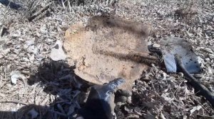 Коп металлолома на поливном поле