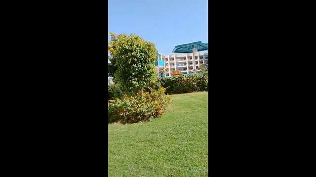 Хургада, незатейлевый садик отеля . Словно садовник , украсил привычными русскому человеку цветами.